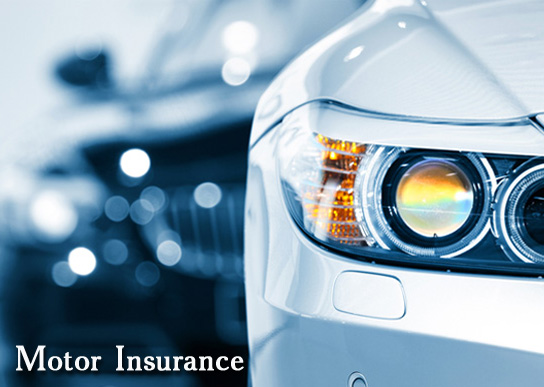 Motor Insurance Terms